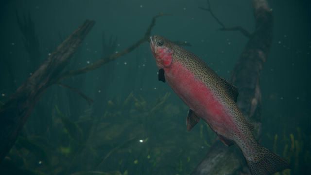 Hình ảnh trong game Ultimate Fishing Simulator 2-RUNE
