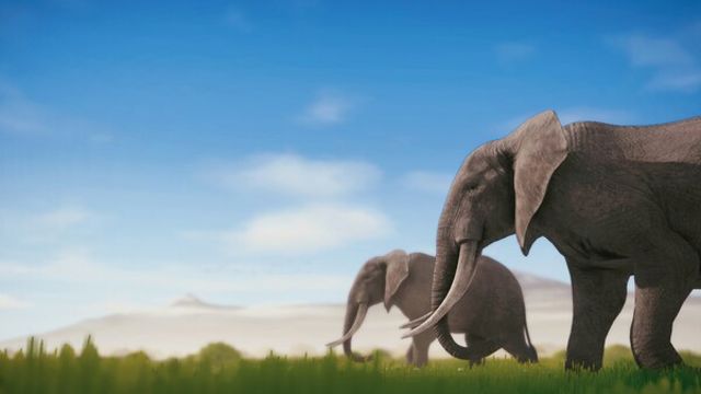 Hình ảnh trong game Seclusa-TENOKE