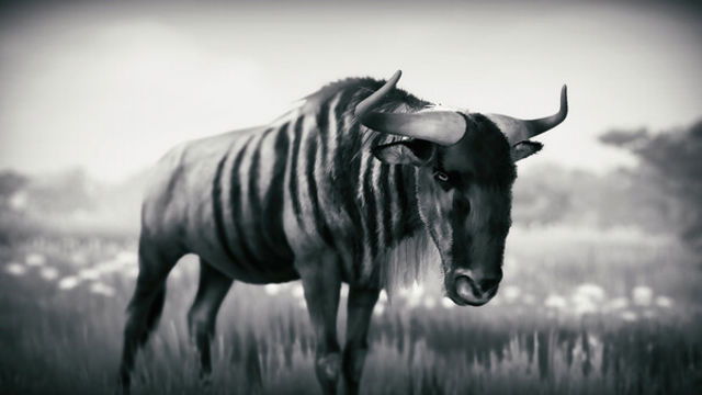 Hình ảnh trong game Seclusa-TENOKE