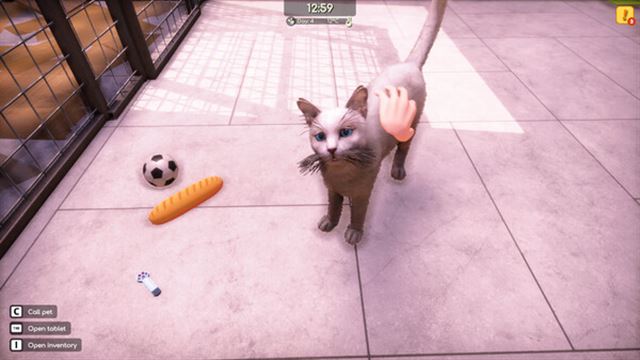 Hình ảnh trong game Animal Shelter 2 v1.0.32-P2P