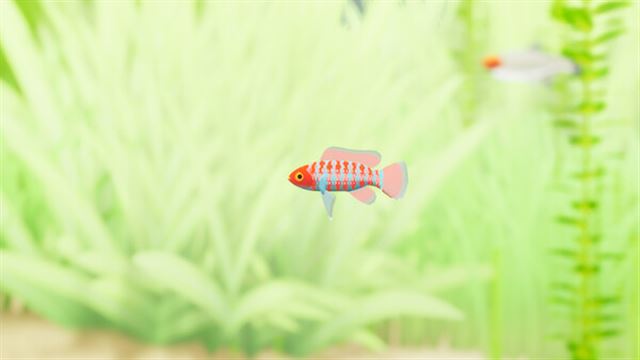 Hình ảnh trong game Fish Game Indian Subcontinent Fish Pack 1-TENOKE