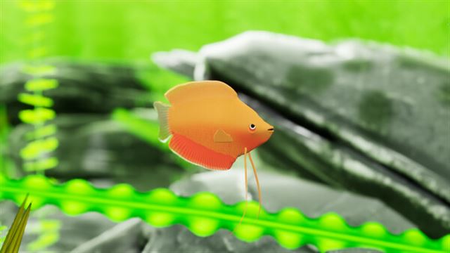 Hình ảnh trong game Fish Game Indian Subcontinent Fish Pack 1-TENOKE