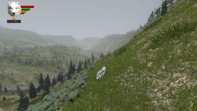 Hình ảnh trong game WolfQuest Anniversary Edition Tower Fall-RUNE