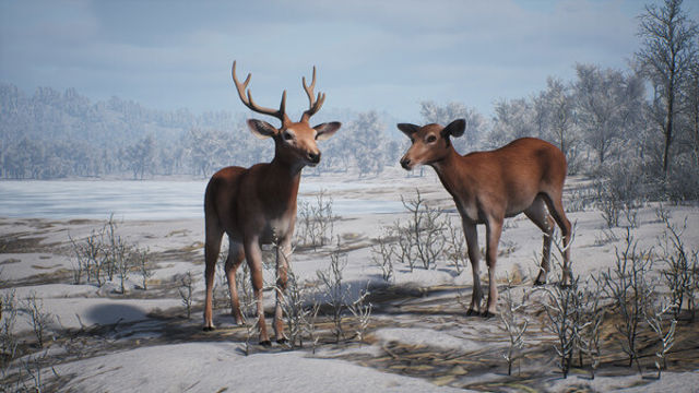 Hình ảnh trong game PROJECT HUNT MANCHURIAN TAIGA-TENOKE