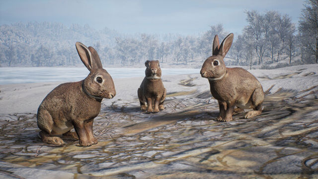 Hình ảnh trong game PROJECT HUNT MANCHURIAN TAIGA-TENOKE